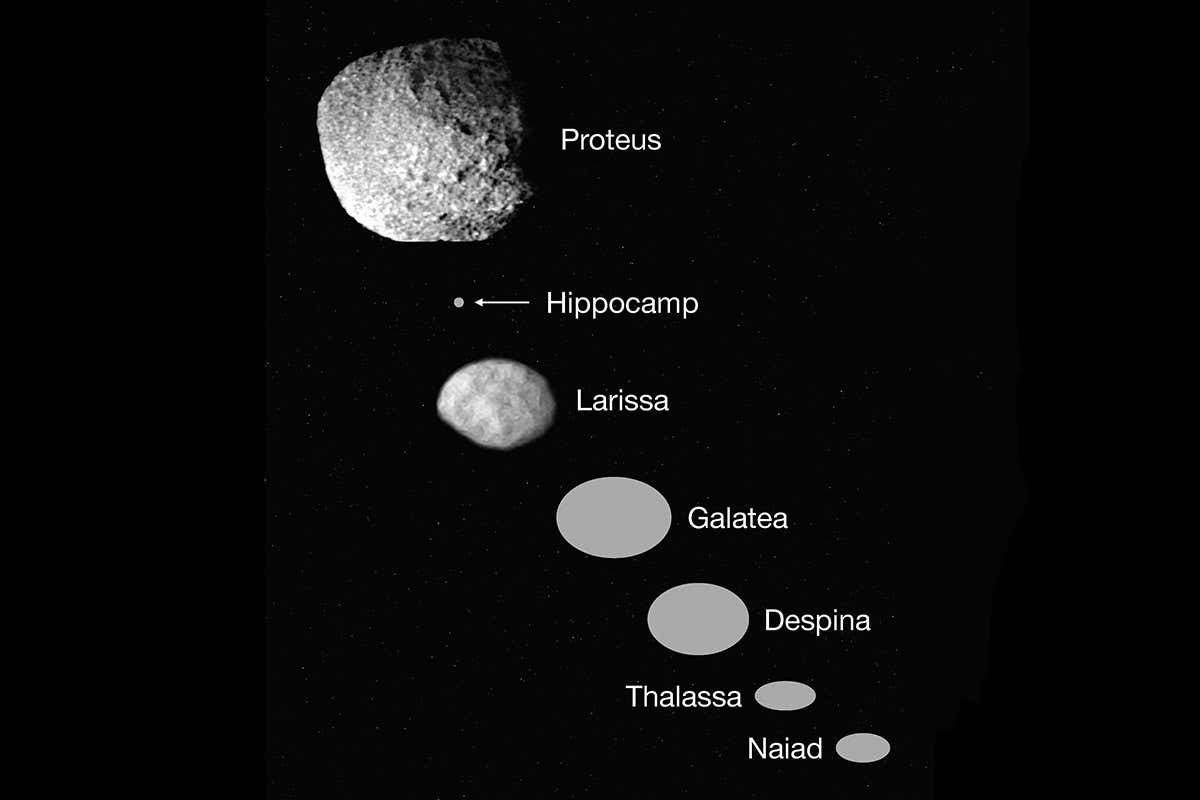Hippocamp and its fellow moons