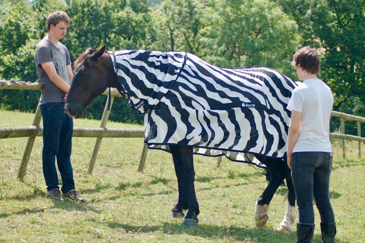 New Scientist. Science news and long reads from expert journalists, covering developments in science, technology, health and the environment on the website and the magazine.