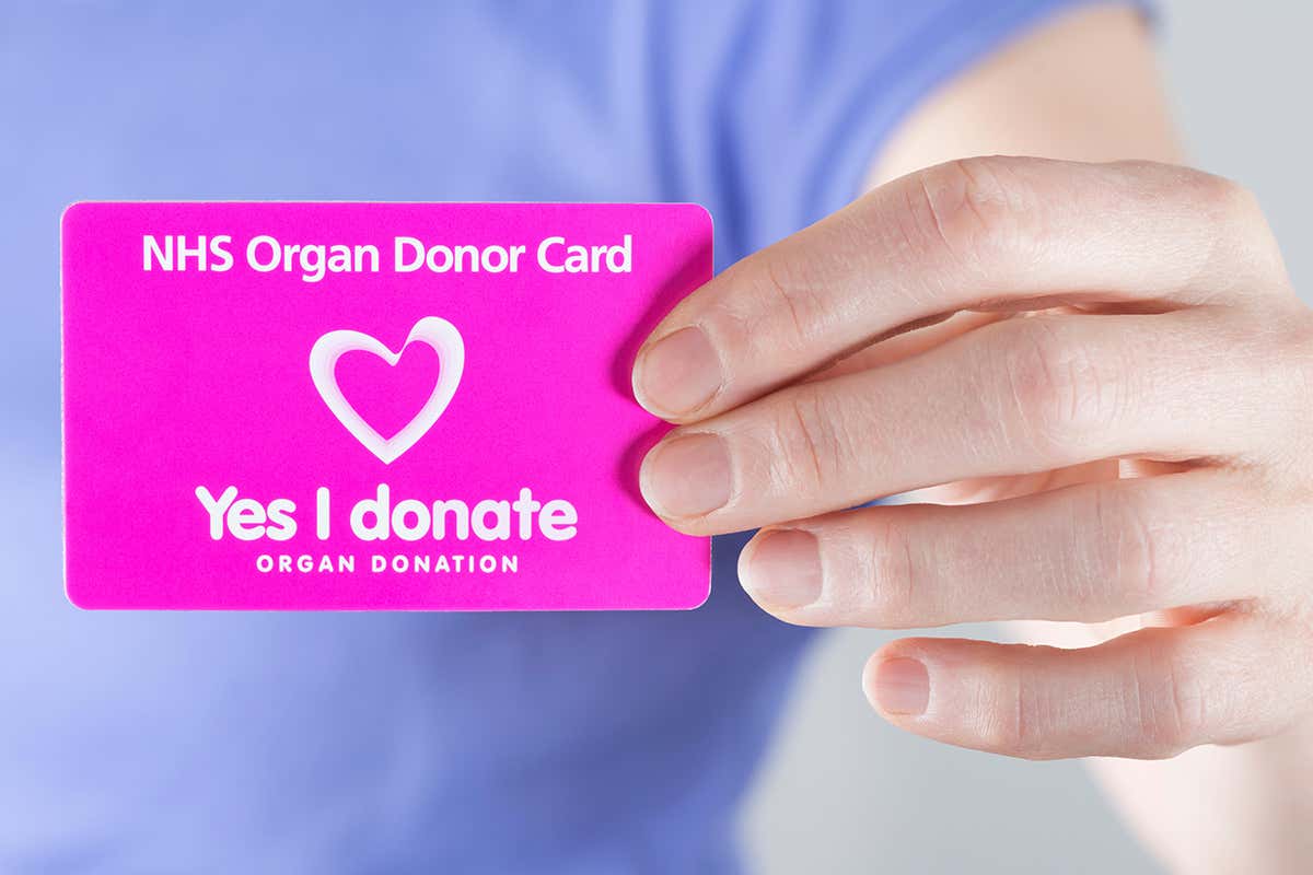Opt-out organ donation law: Your questions answered