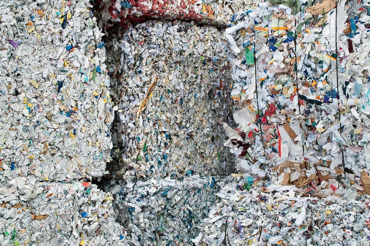 New Scientist. Science news and long reads from expert journalists, covering developments in science, technology, health and the environment on the website and the magazine.