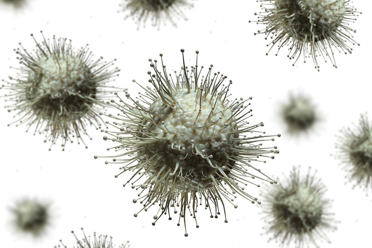 The HIV virus infects immune cells