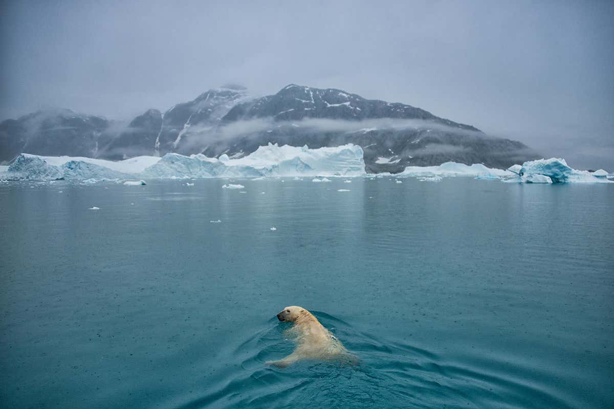 Rain is falling in Greenland even in winter