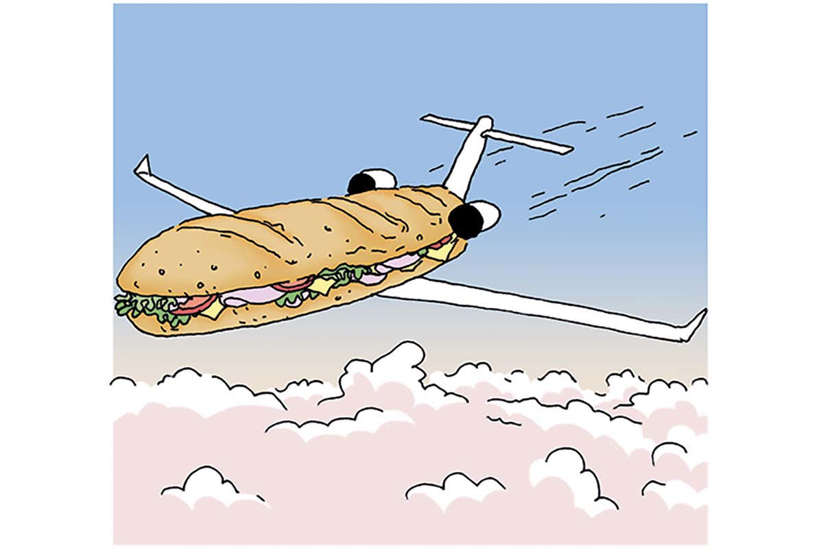 sandwich cartoon