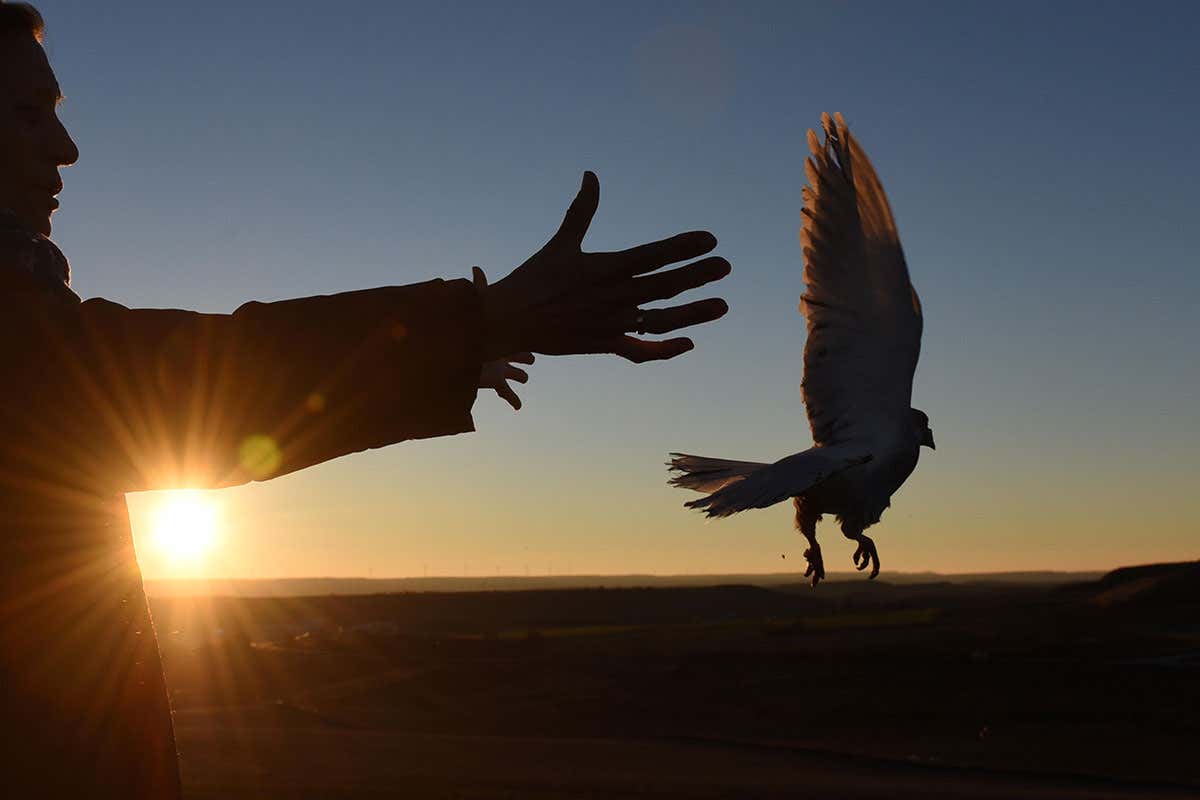 New Scientist. Science news and long reads from expert journalists, covering developments in science, technology, health and the environment on the website and the magazine.