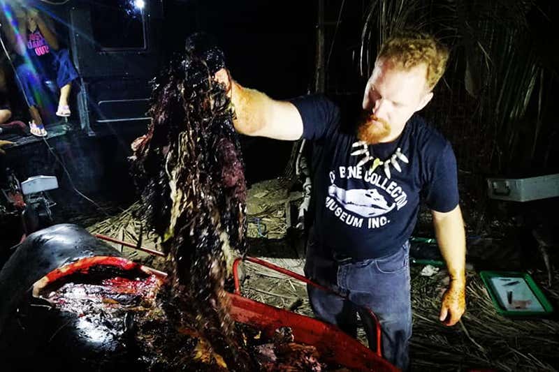 New Scientist. Science news and long reads from expert journalists, covering developments in science, technology, health and the environment on the website and the magazine.