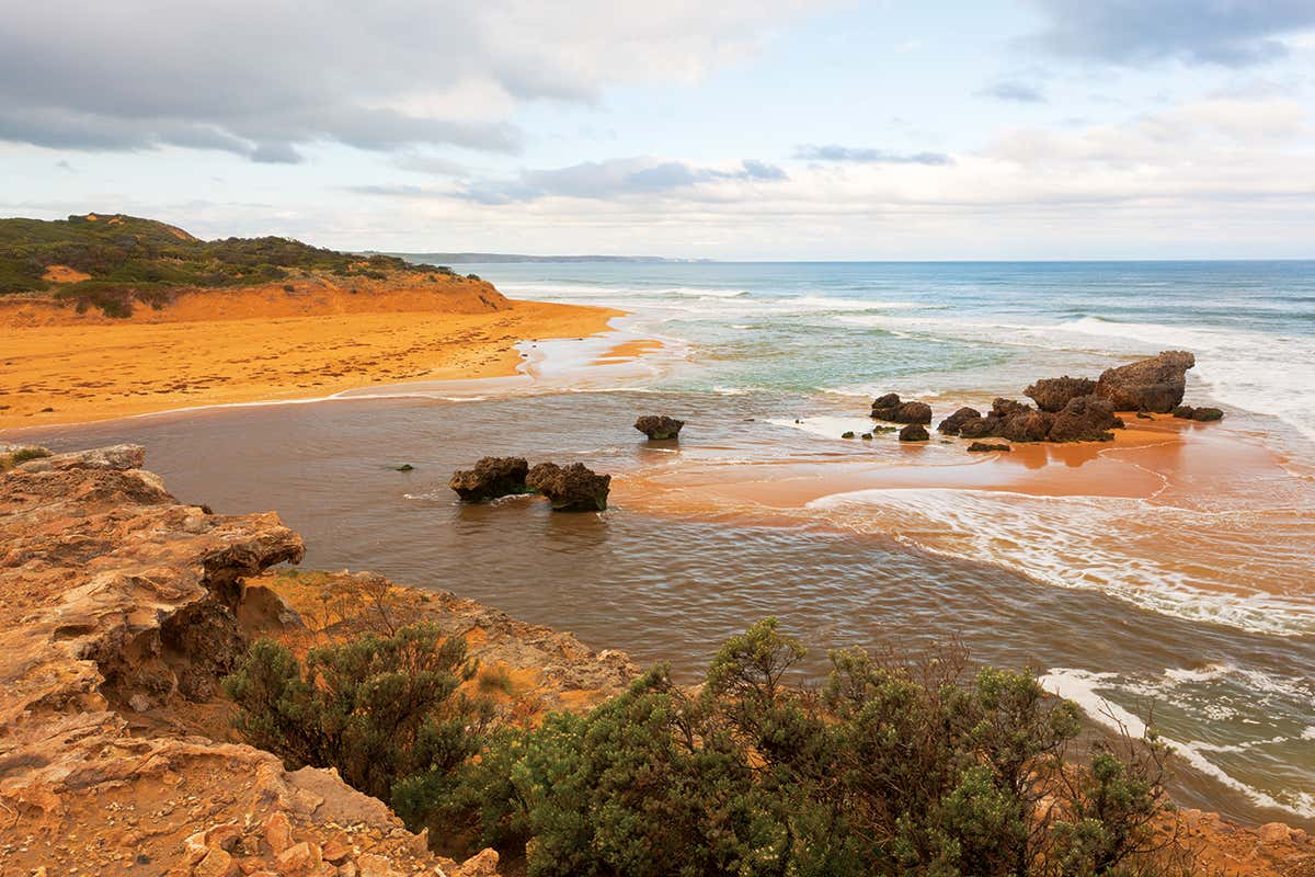 Hopkins river estuary