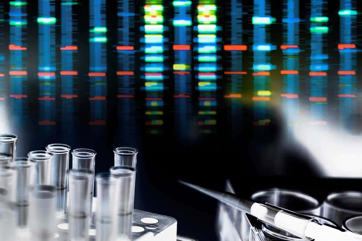 Polygenic risk scores estimate your likelihood of developing some health conditions