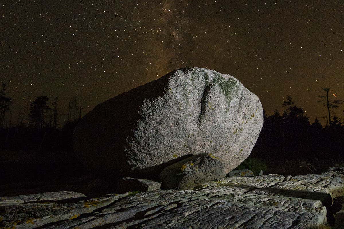 New Scientist. Science news and long reads from expert journalists, covering developments in science, technology, health and the environment on the website and the magazine.