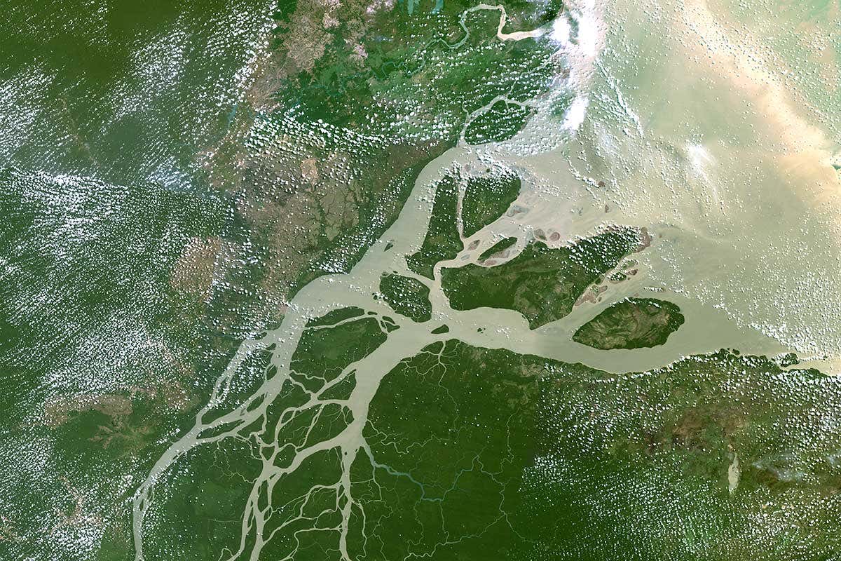 The Amazon Delta