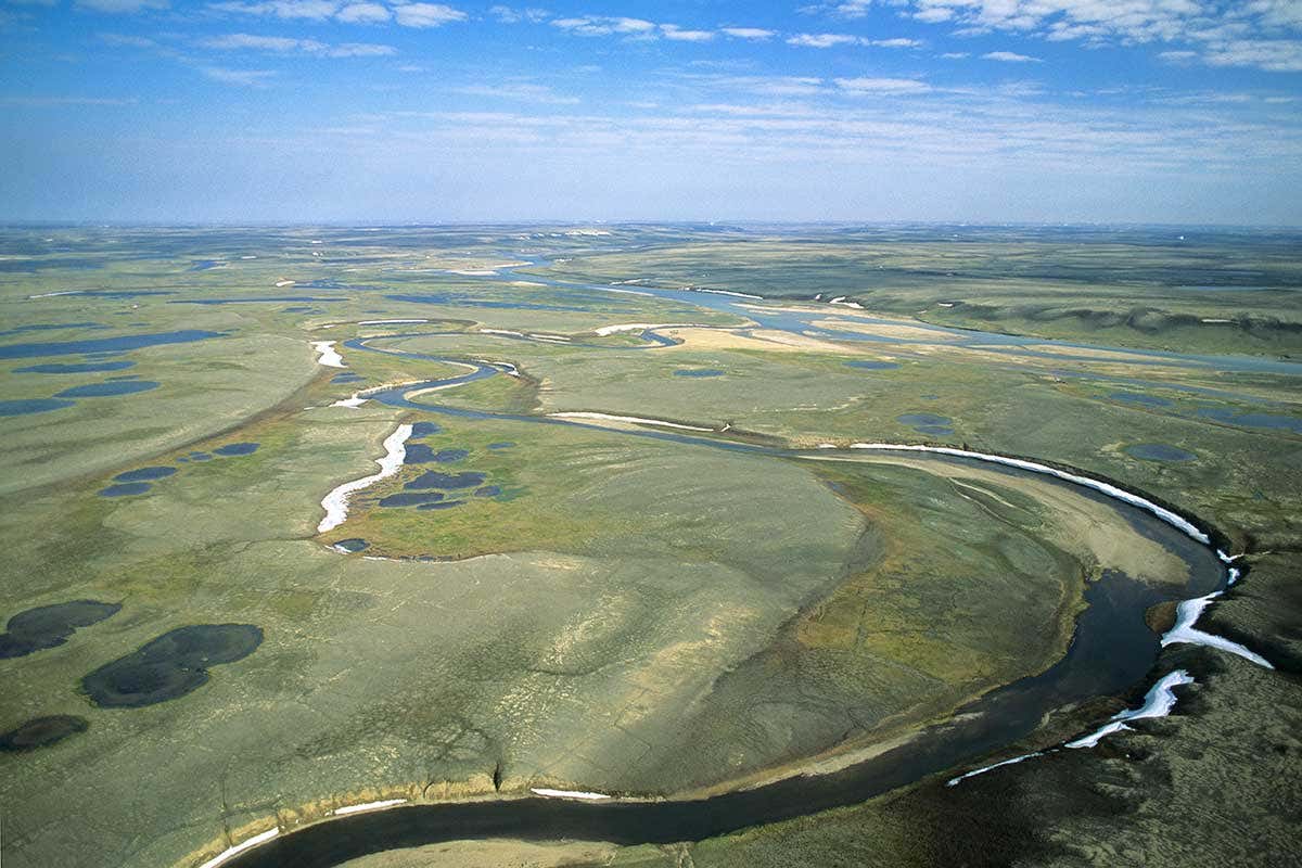 Tundra, Aulavik National Park, northern Banks Island, NWT, Arctic Canada