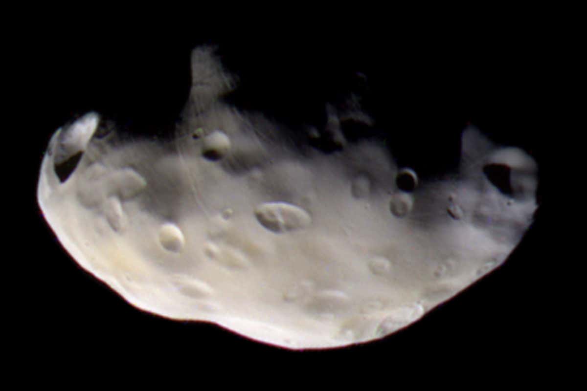 New Scientist. Science news and long reads from expert journalists, covering developments in science, technology, health and the environment on the website and the magazine.