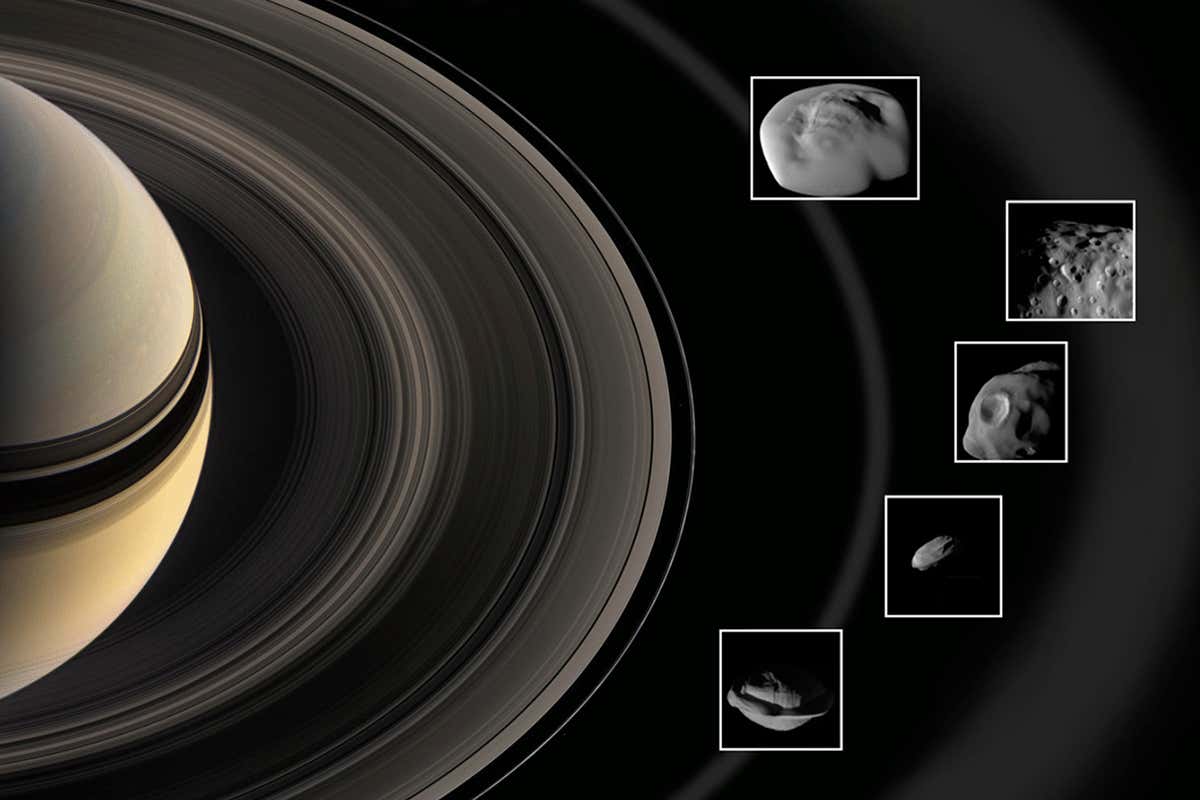 The weird and wonderful inner moons of Saturn revealed by Cassini