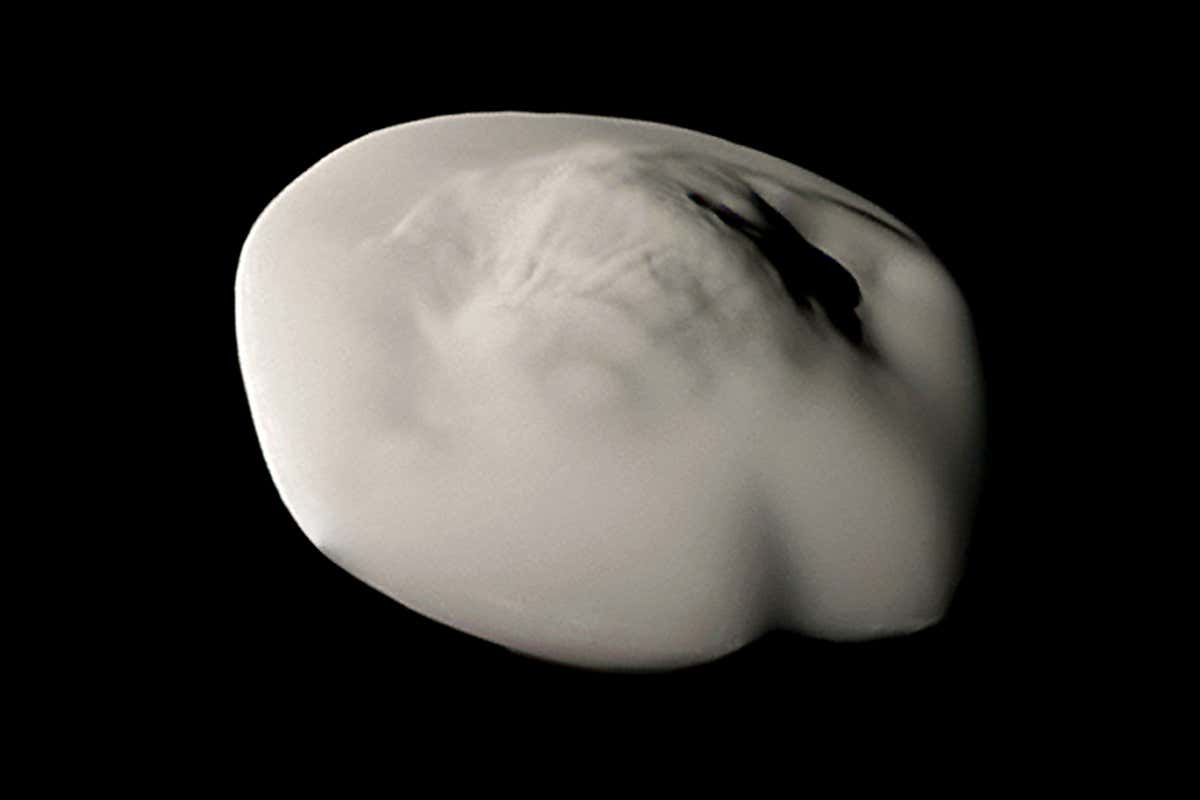 New Scientist. Science news and long reads from expert journalists, covering developments in science, technology, health and the environment on the website and the magazine.