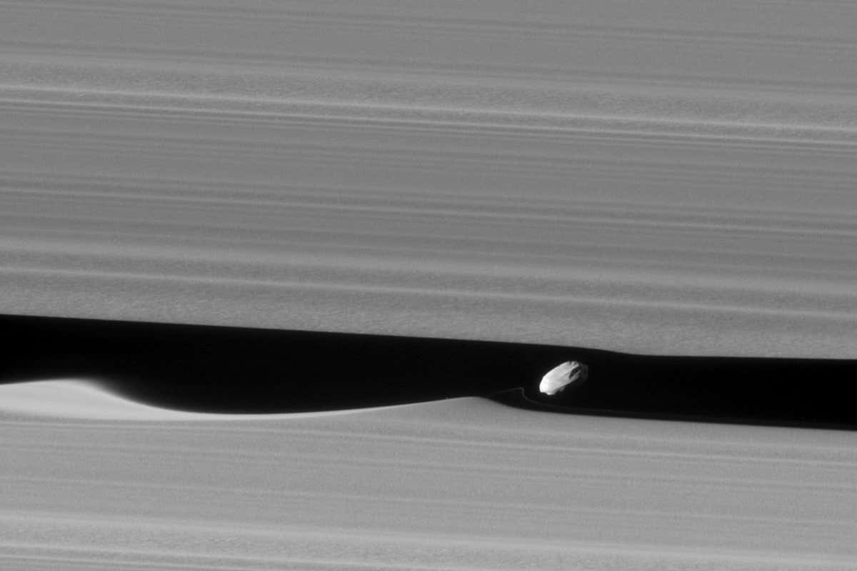 Daphnis create a ripple in Saturn's icy rings as it orbits the planet