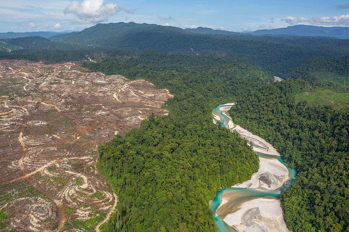 New Scientist. Science news and long reads from expert journalists, covering developments in science, technology, health and the environment on the website and the magazine.