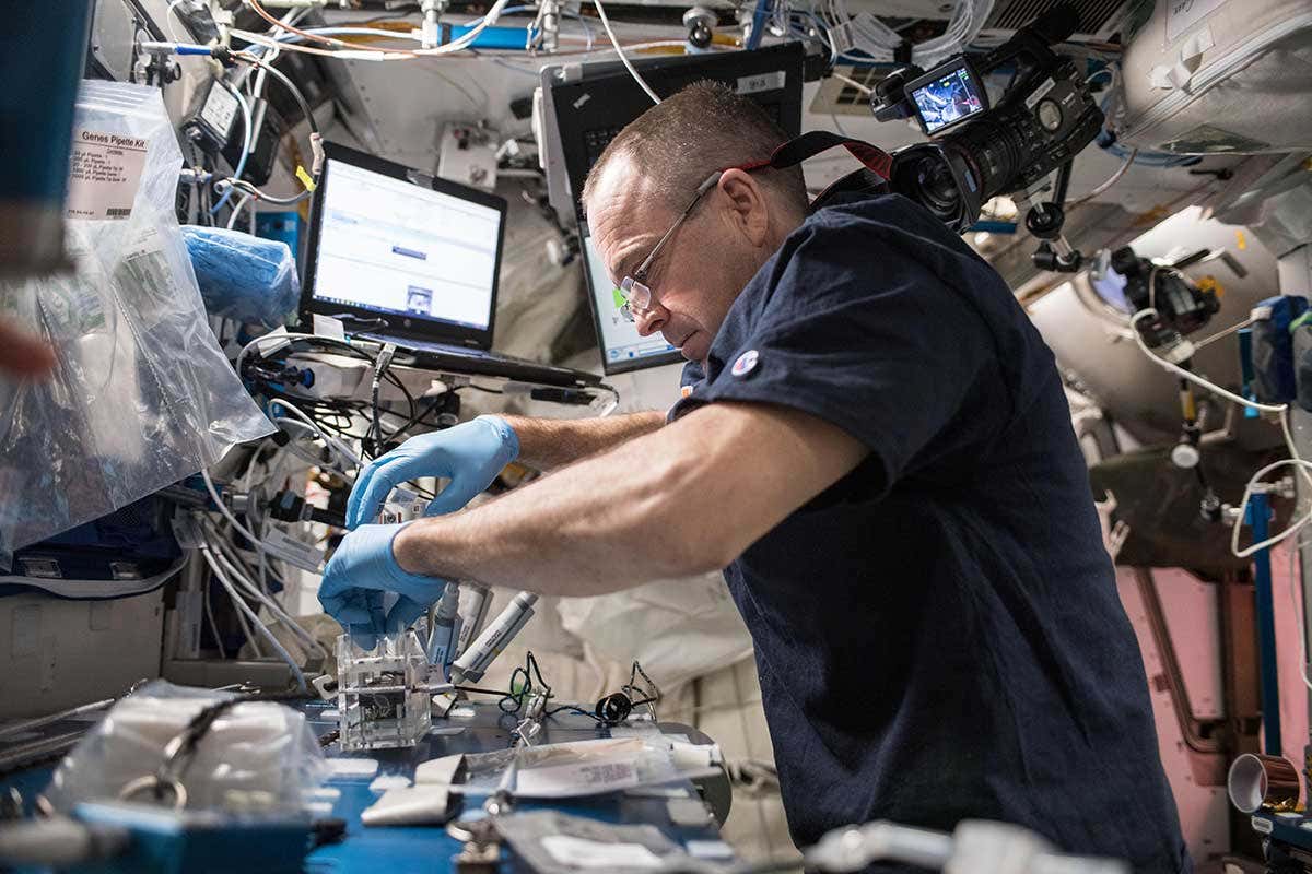 Swabbing for microbes in space
