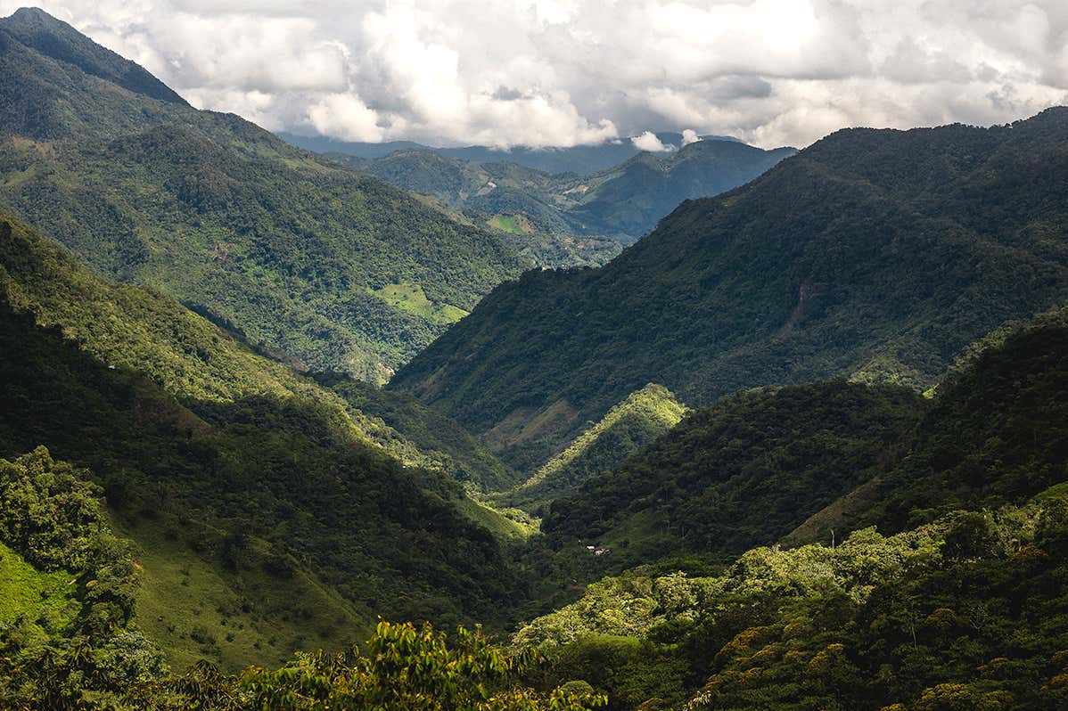 The forgotten riches of the most densely biodiverse country on Earth