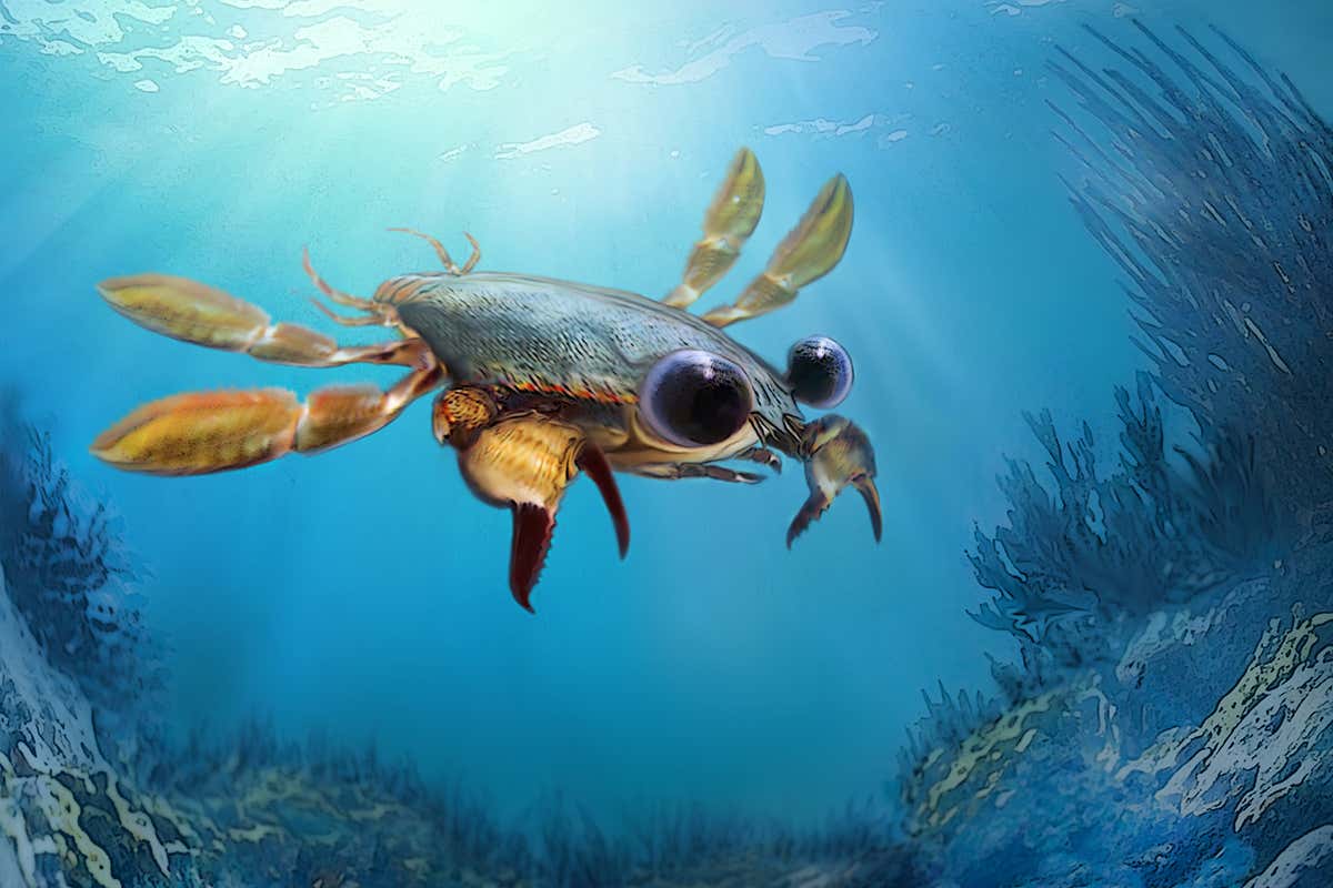 The Chimera crab had a mix of strange features