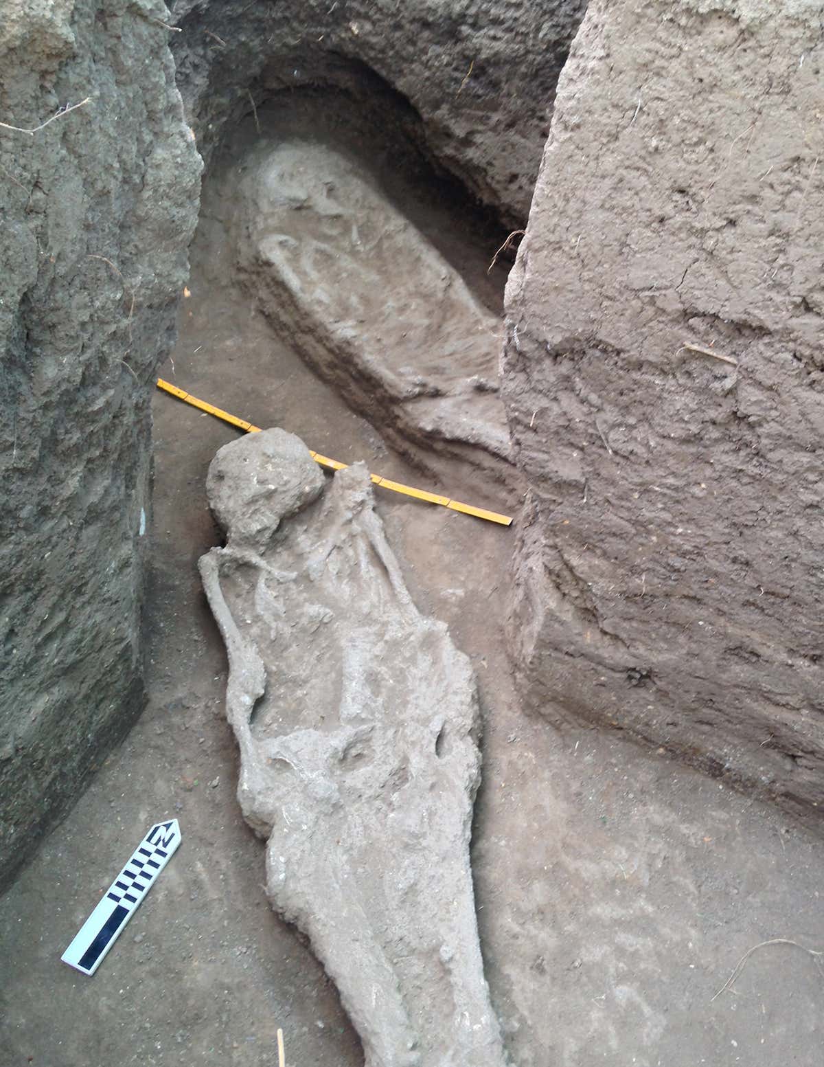 Five burials were unearthed in the study