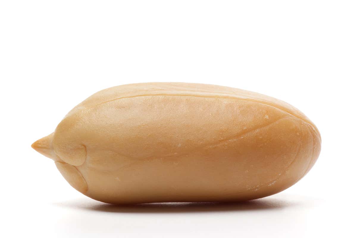A peanut
