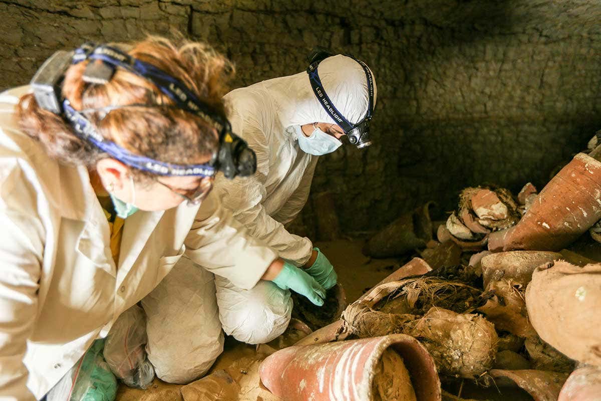 Sally Wasef (nearest) inspects mummified remains