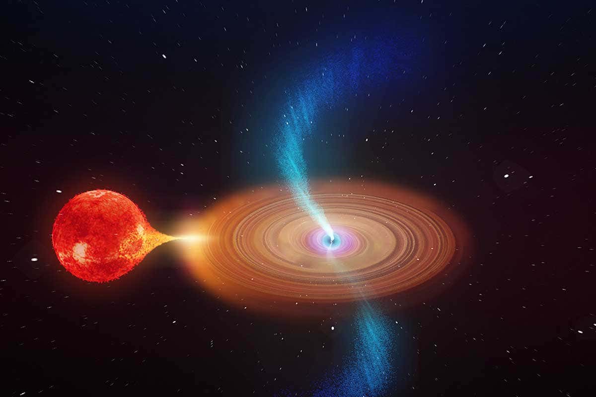 Black hole eating star