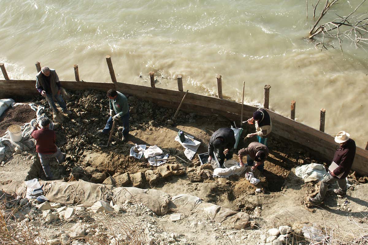 Excavation of the blue whale fossil on the edge of San Giuliano Lake, Matera
