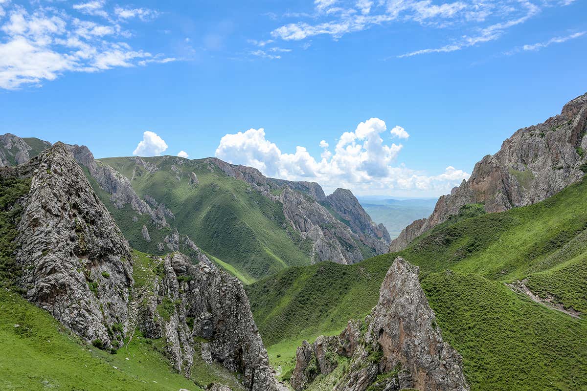 New Scientist. Science news and long reads from expert journalists, covering developments in science, technology, health and the environment on the website and the magazine.