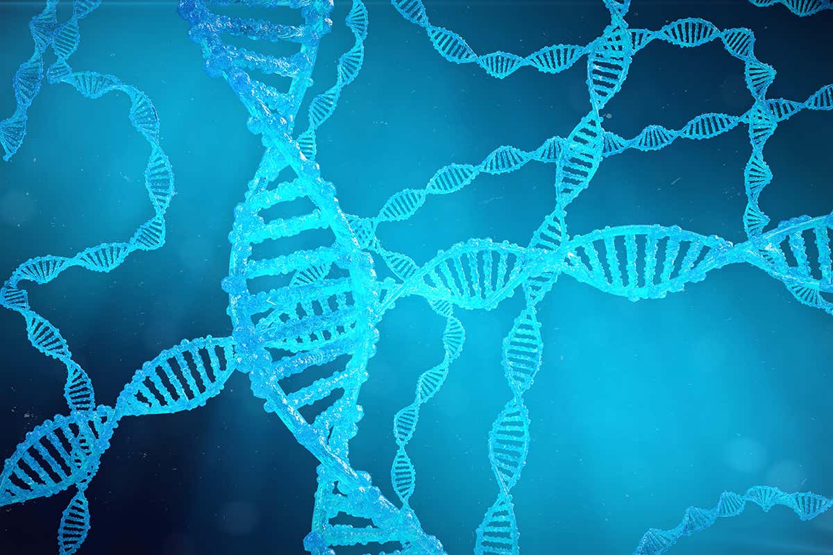 DNA is easily edited using CRISPR