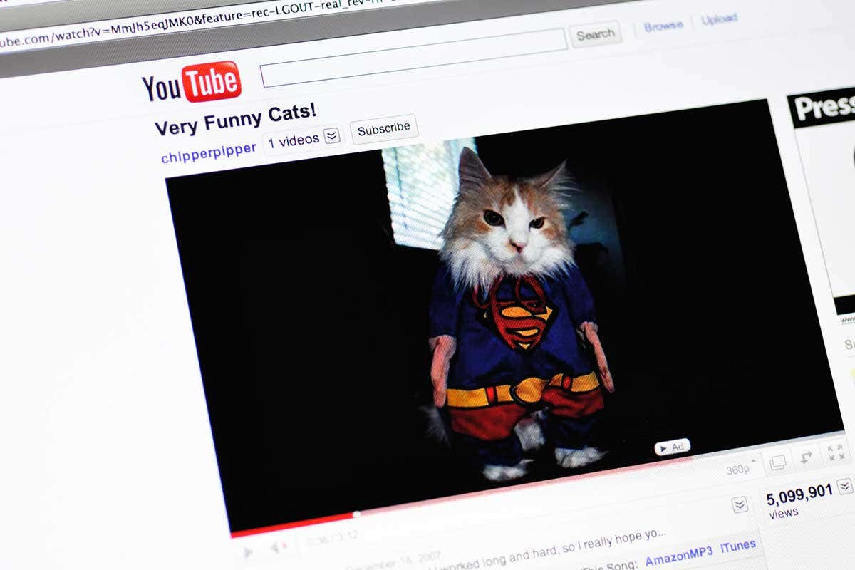 A picture of YouTube with some cats