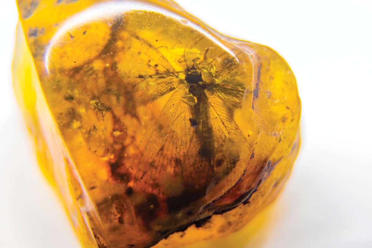 It is time to bring global attention to the trade in Burmese amber