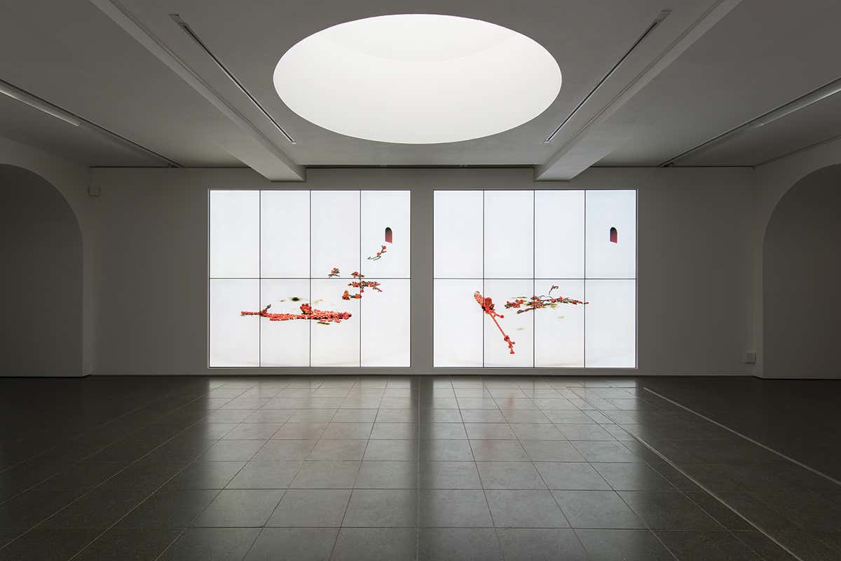 New Scientist. Science news and long reads from expert journalists, covering developments in science, technology, health and the environment on the website and the magazine.