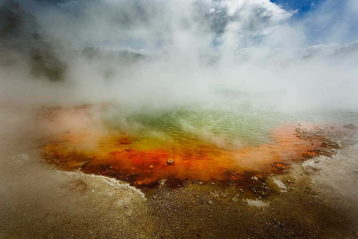 Hell's Gate in New Zealand is being used as an open-air laboratory
