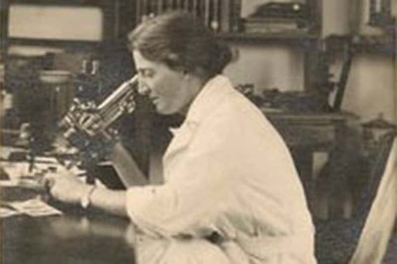 How Lucy Wills discovered a medical marvel in Marmite