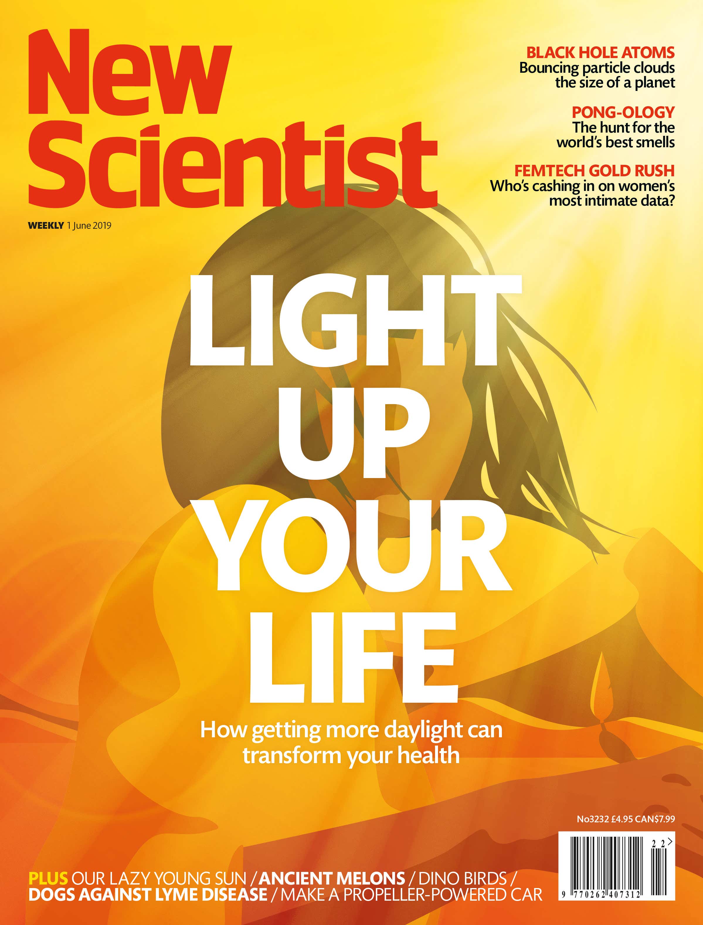 New Scientist issue 3232 cover