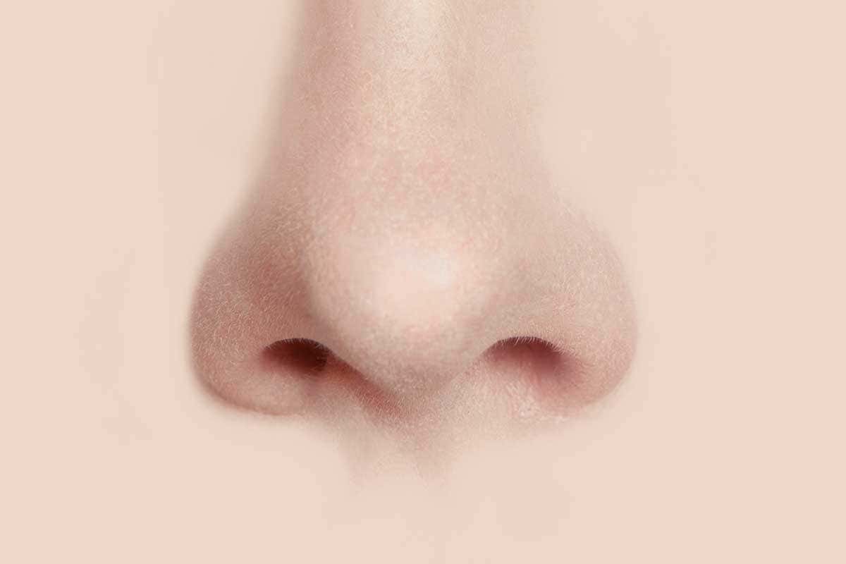 nose