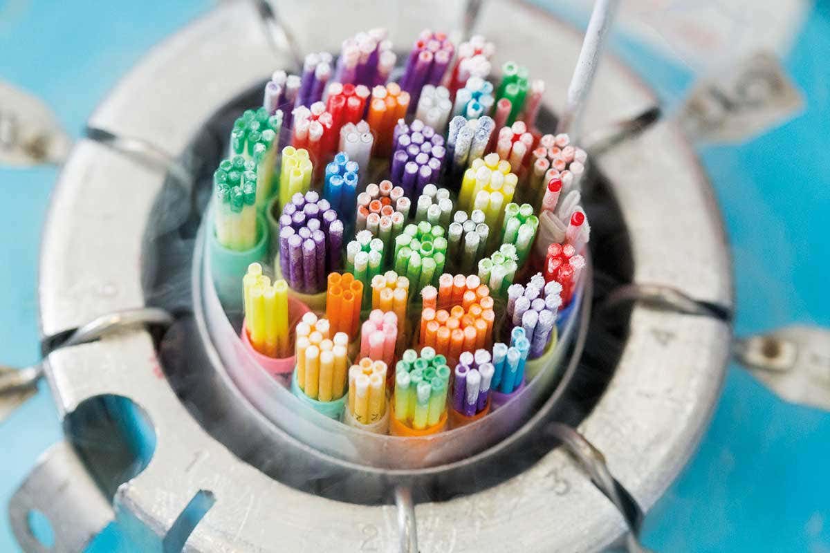 No one can be truly anonymous ever again thanks to genetic sequencing