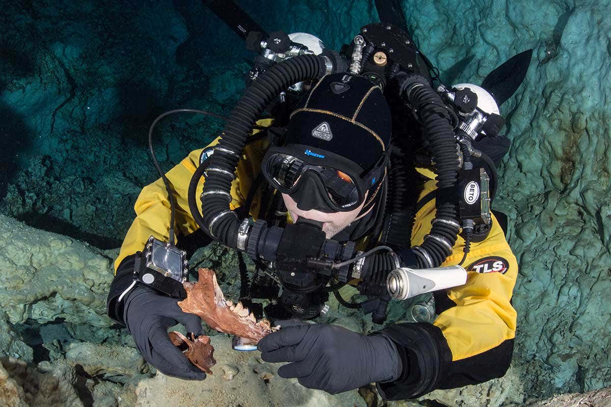 A diver with Protocyon jaw and vertebra