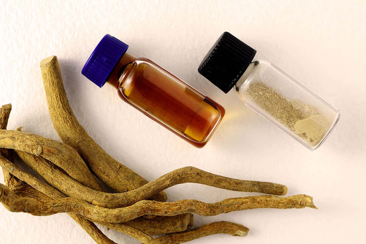 Ibogaine and iboga root