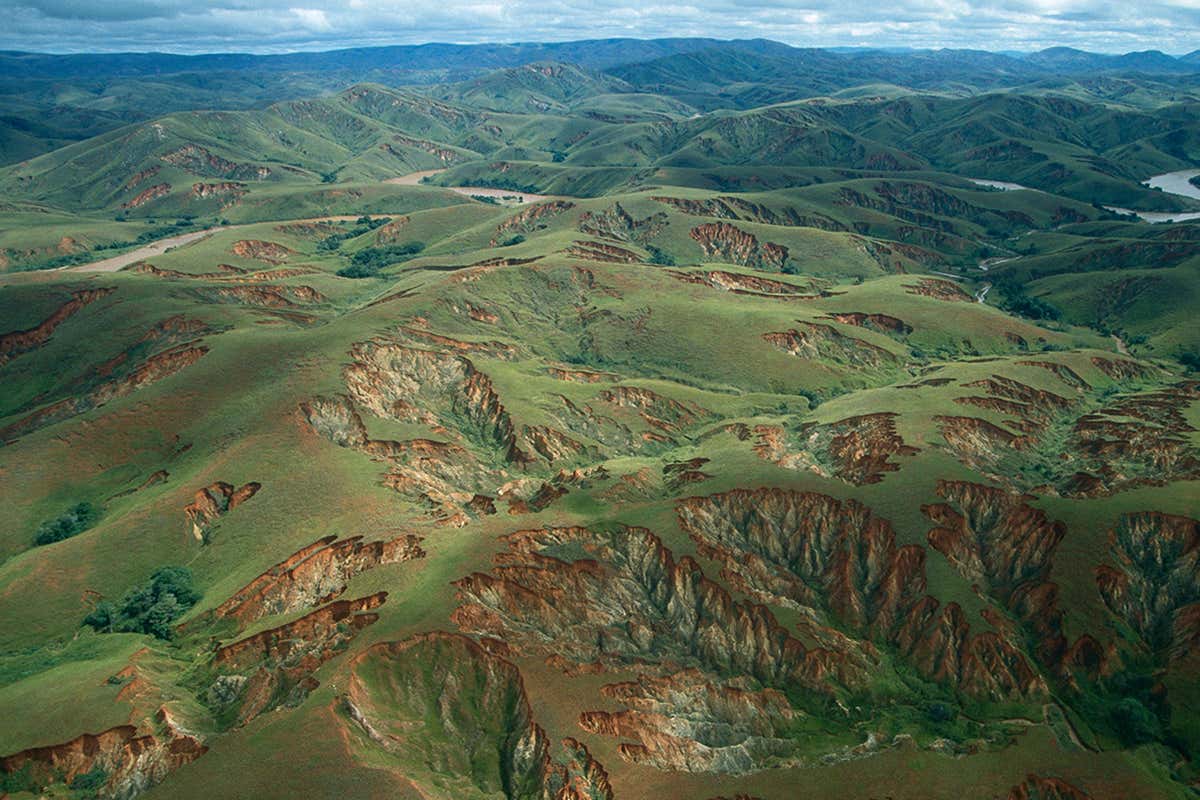 Deforestation in Madagascar, which has lost many plant species to extinction
