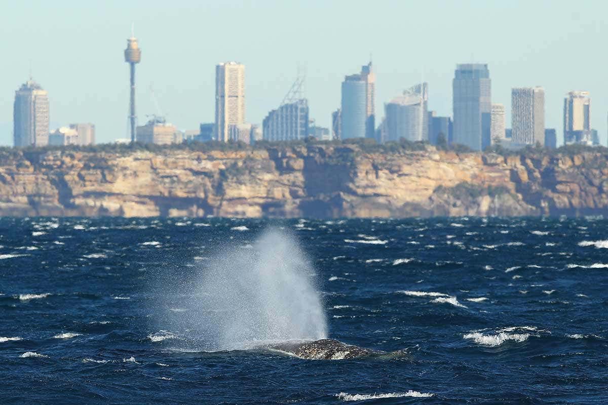Inside the audacious mission to map every microbe in Australia