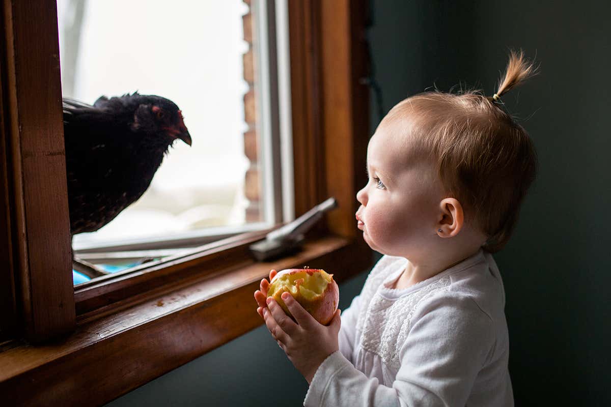 A girl with a chicken