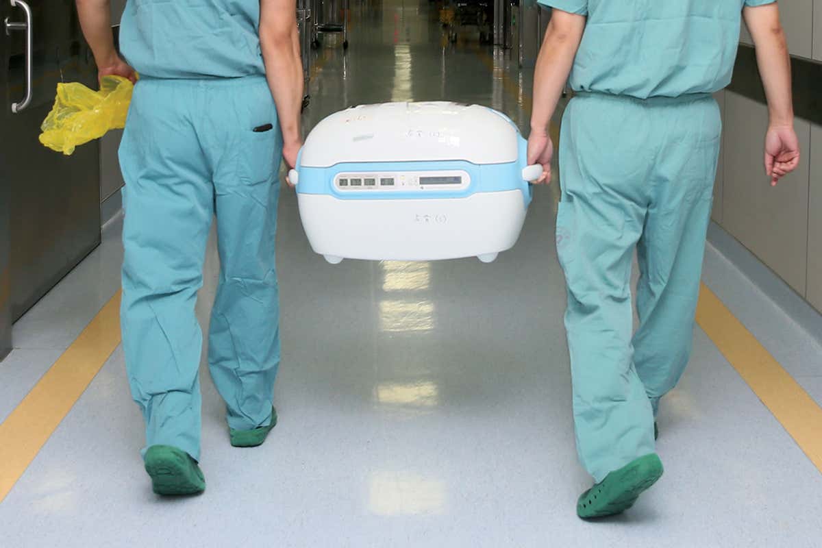 Organ being transported