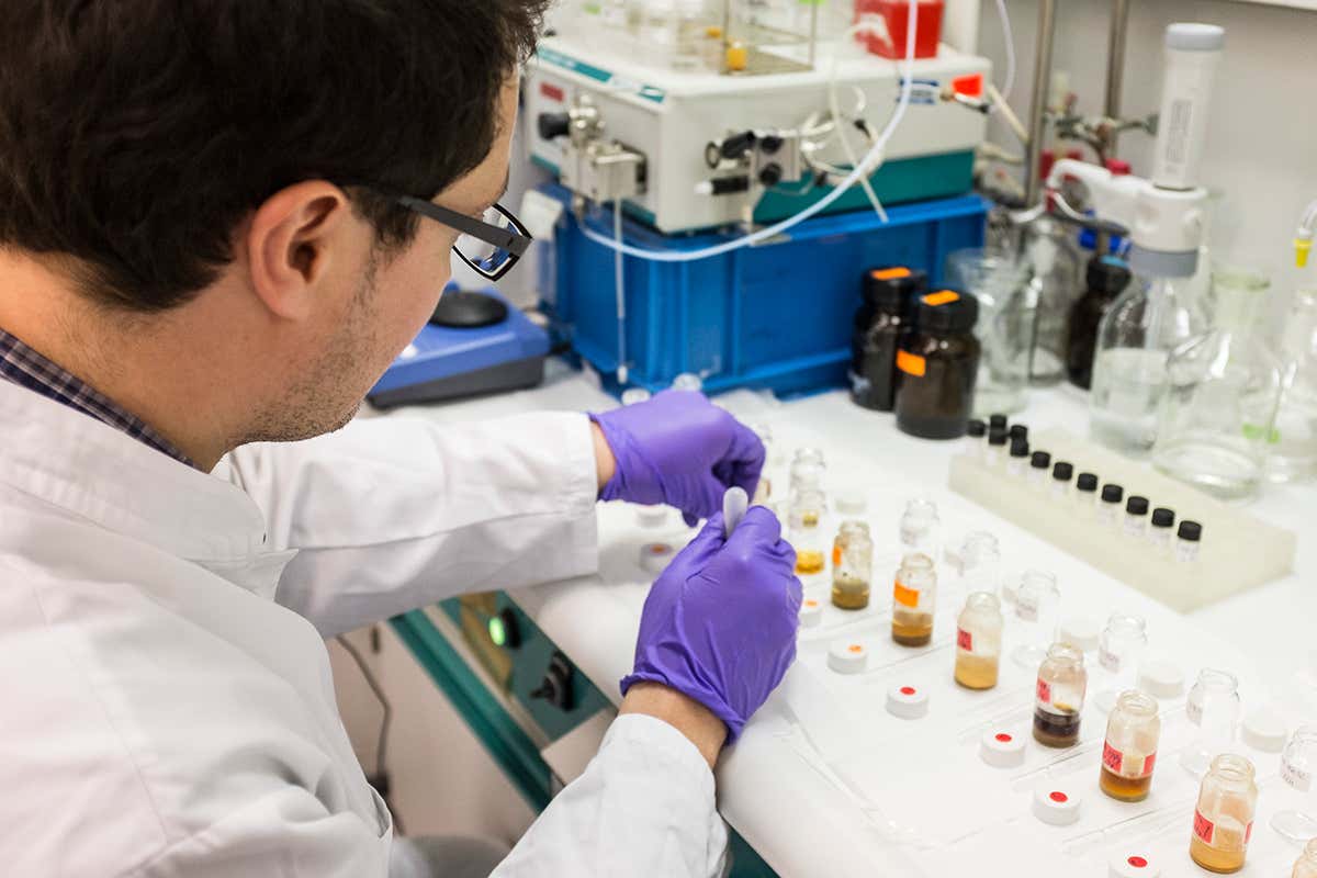 Maxime Rageot analyses organic residues found in pottery