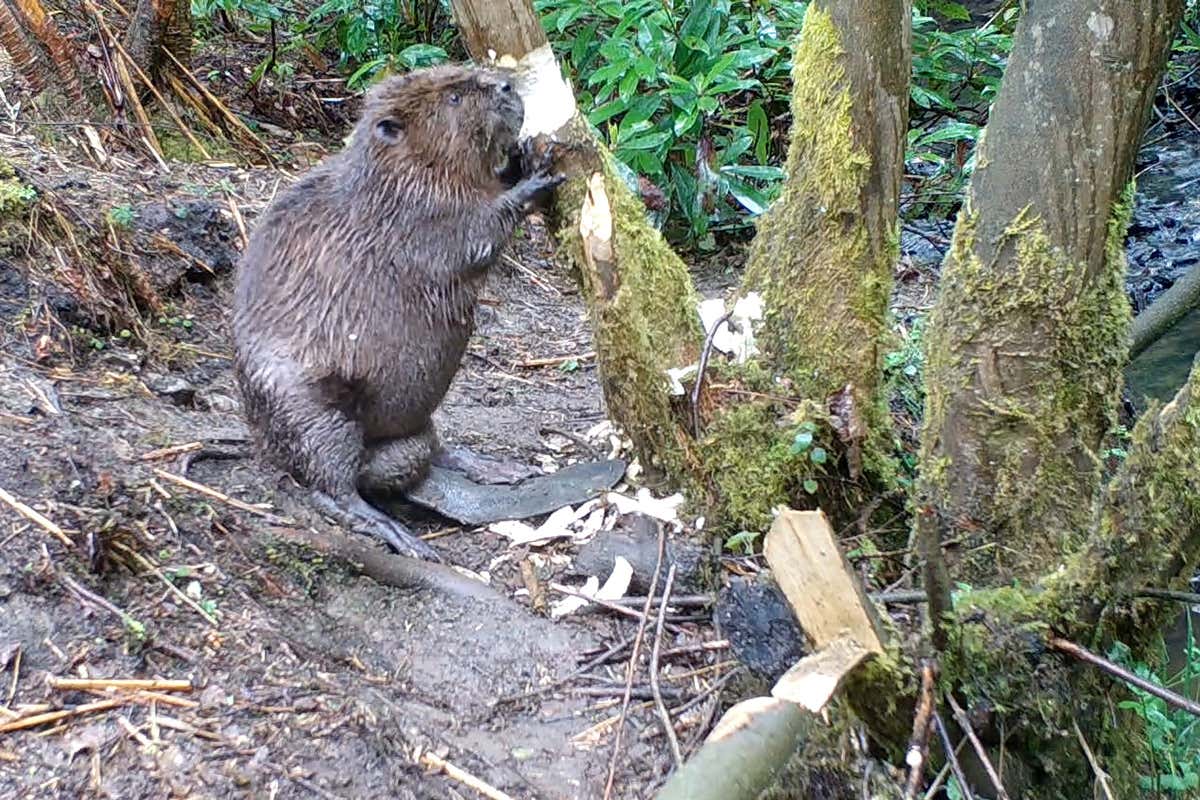 New Scientist. Science news and long reads from expert journalists, covering developments in science, technology, health and the environment on the website and the magazine.