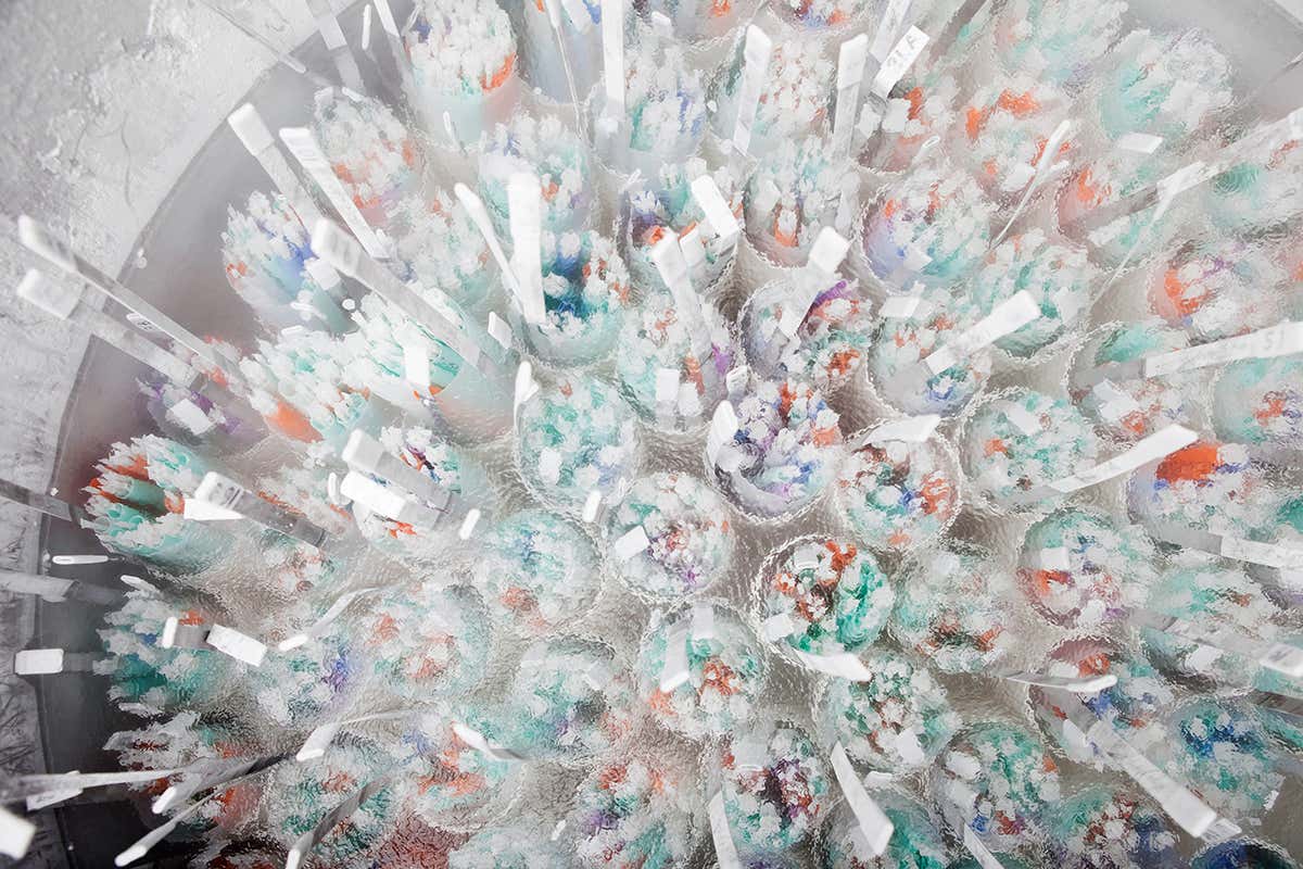 Sperm bank. Frozen sperm stored in liquid nitrogen.