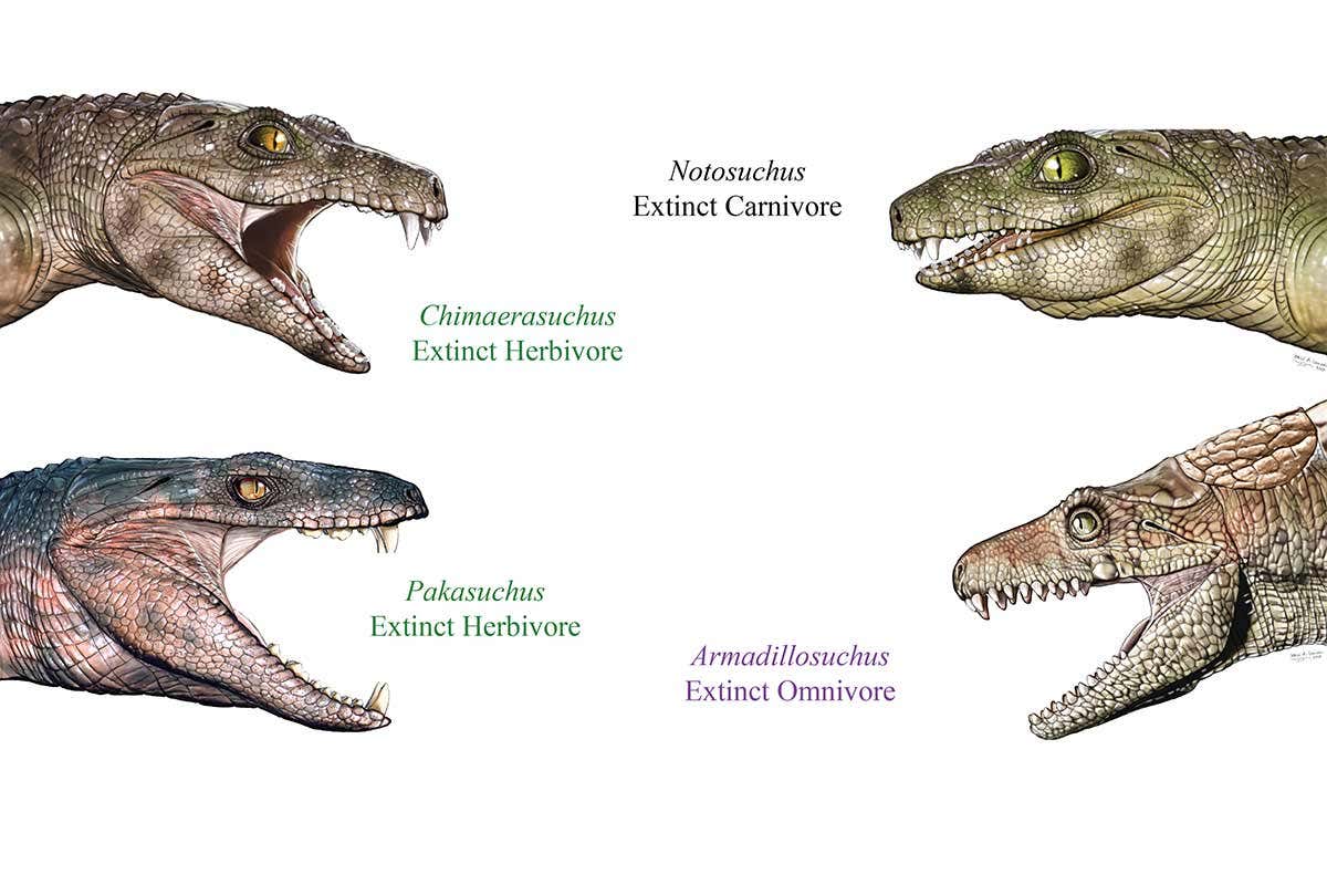 ancient crocodylians