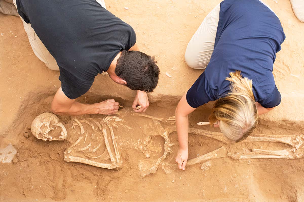 archaeological excavation