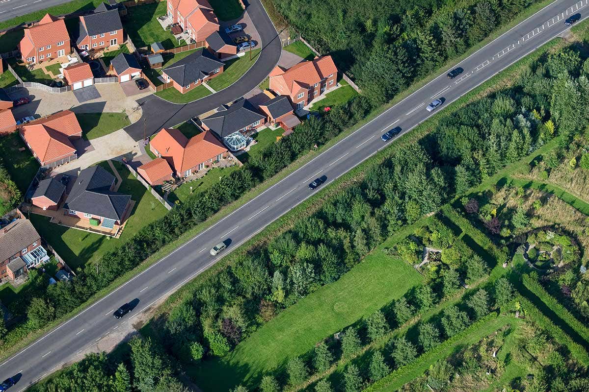A road and some trees