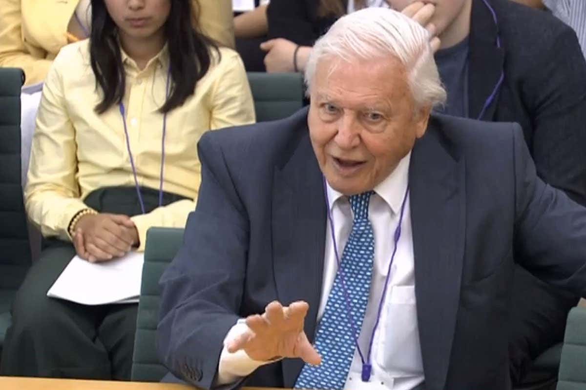 David Attenborough giving evidence to the House of Commons Business, Energy and Industrial Strategy Committee
